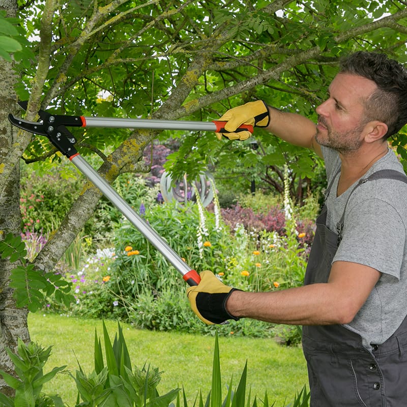 Wilkinson Sword Ratchet Anvil Loppers